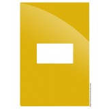 Placa 1 Módulo Horizontal com Suporte 4x2 - RECTA MOSTARDA GLOSS
